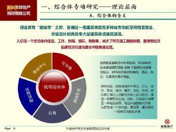 专业引领未来 中国商业旅游综合体策划的顾问咨询之道