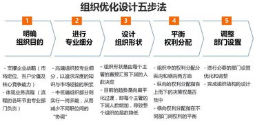 管理升级落地咨询服务 组织设计与权责体系的系统构建与实务推进